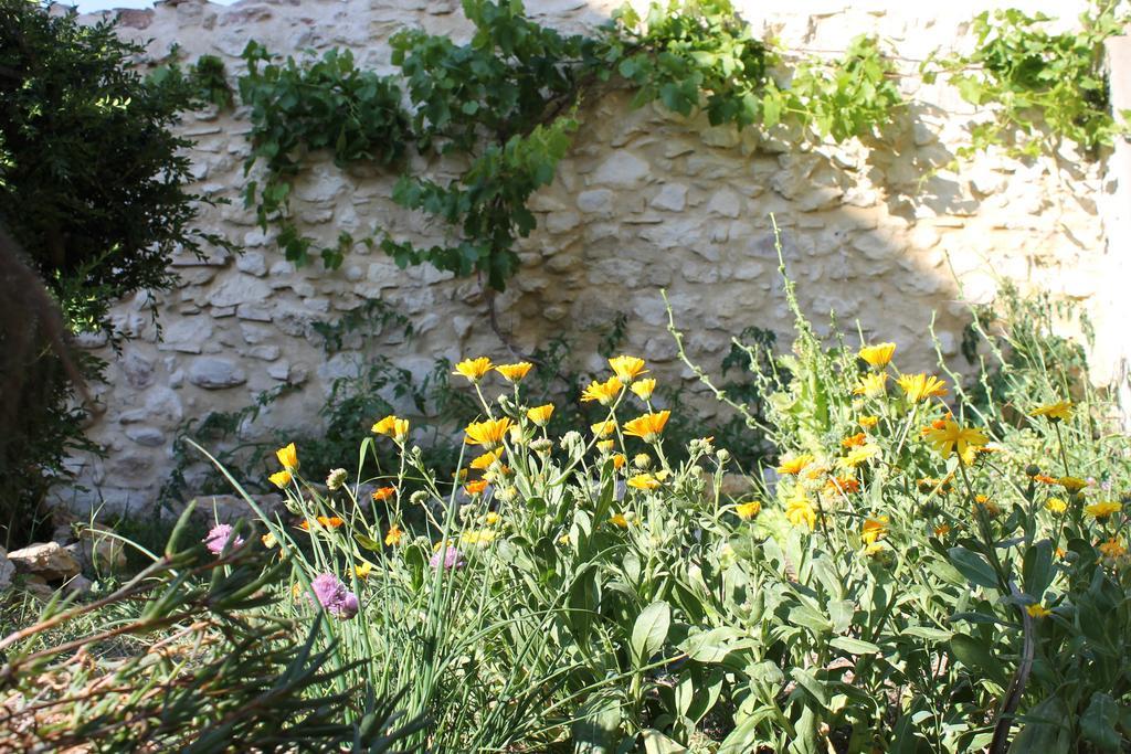 Vila La Montagute Thezan-des-Corbieres Exteriér fotografie